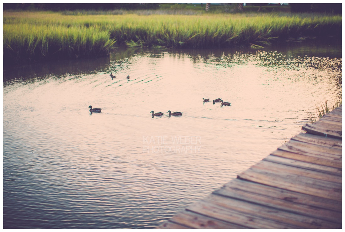 IMG_6866.jpg IMG_6866.jpg