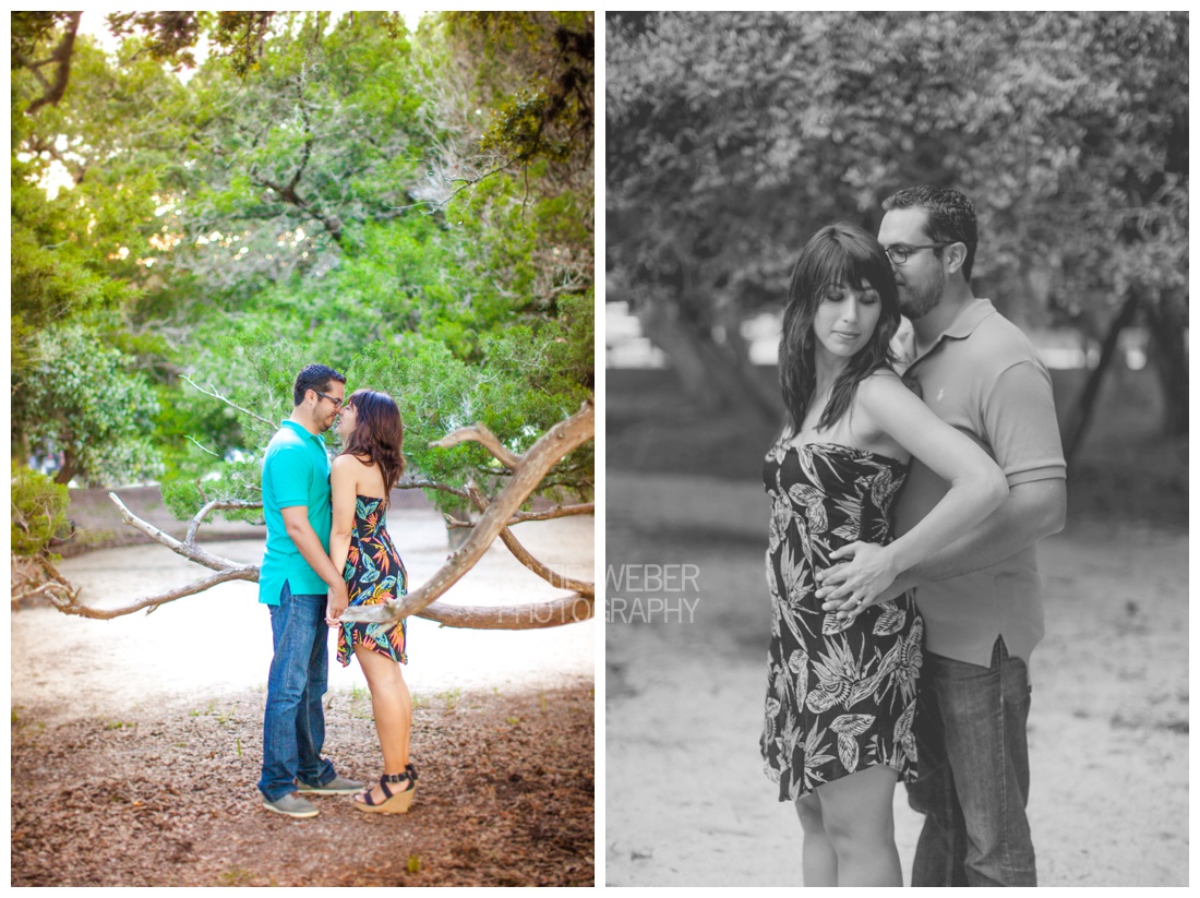 IMG_8754.jpg IMG_8754.jpg