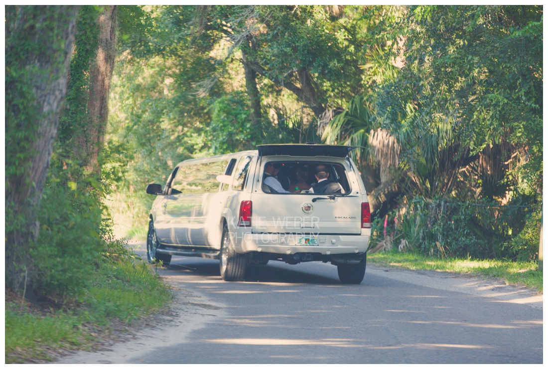 IMG_6375.jpg IMG_6375.jpg