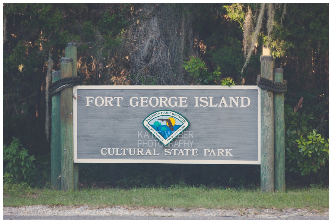 IMG_6377.jpg IMG_6377.jpg