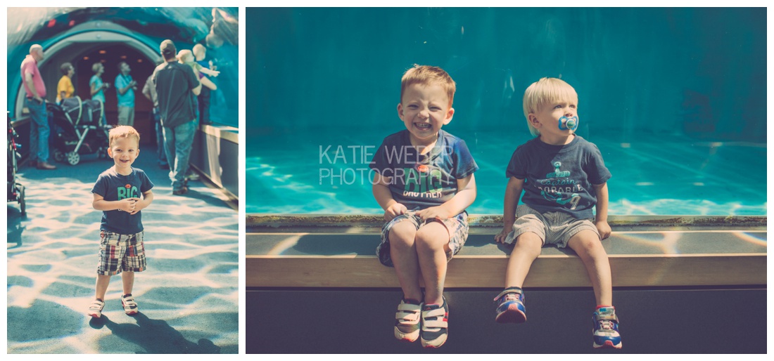 IMG_7112.jpg IMG_7112.jpg