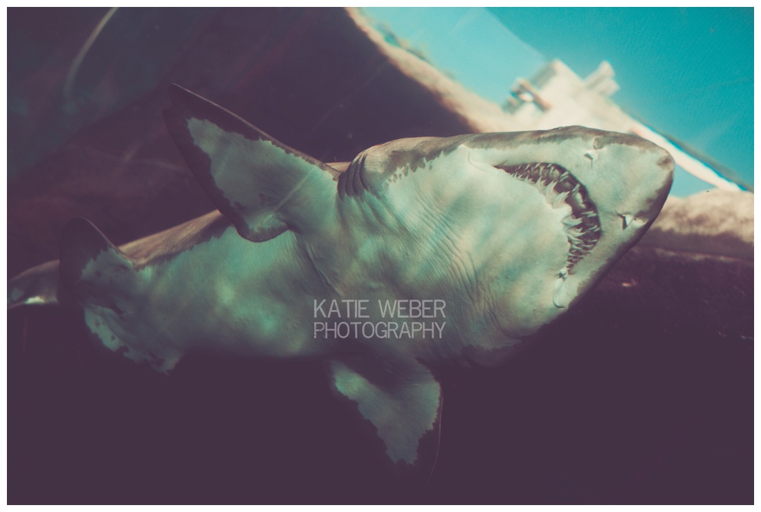 IMG_7154.jpg IMG_7154.jpg