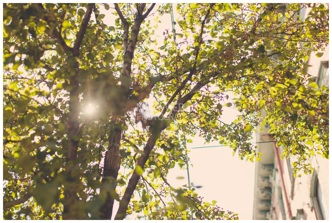 IMG_7215.jpg IMG_7215.jpg