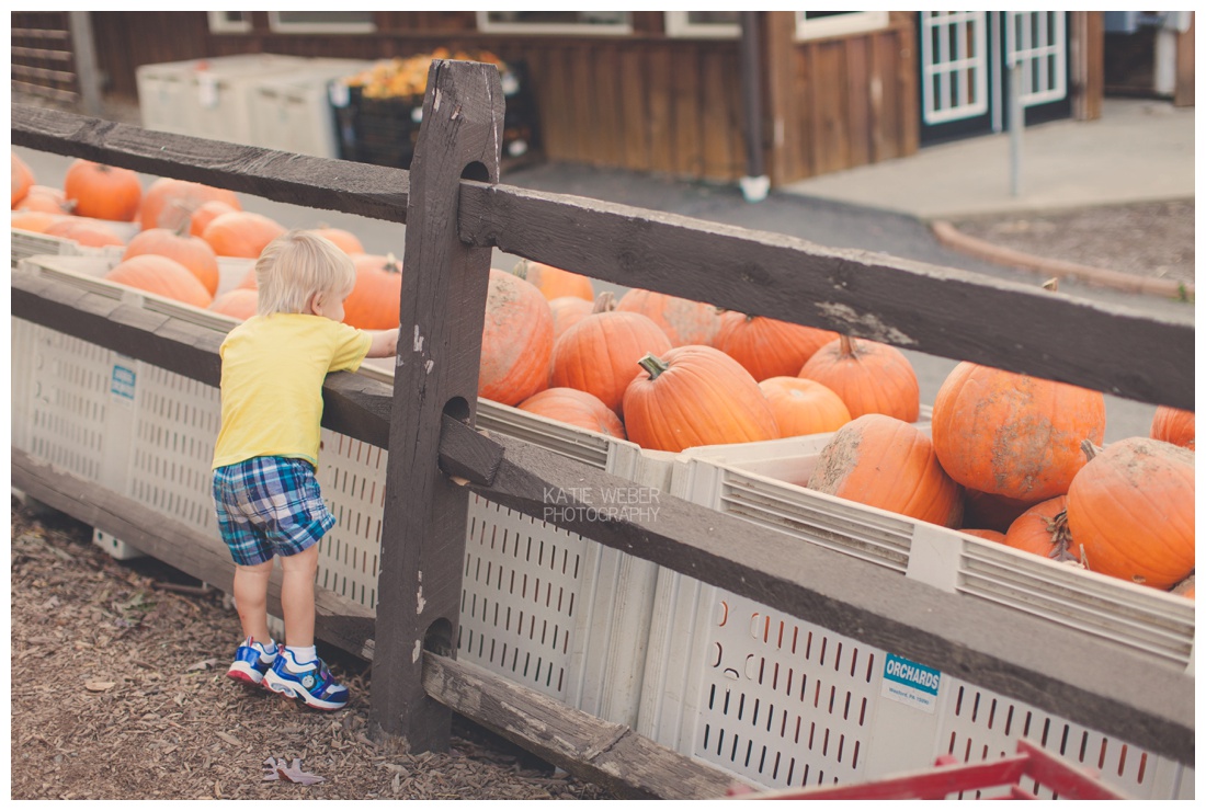 IMG_7227.jpg IMG_7227.jpg