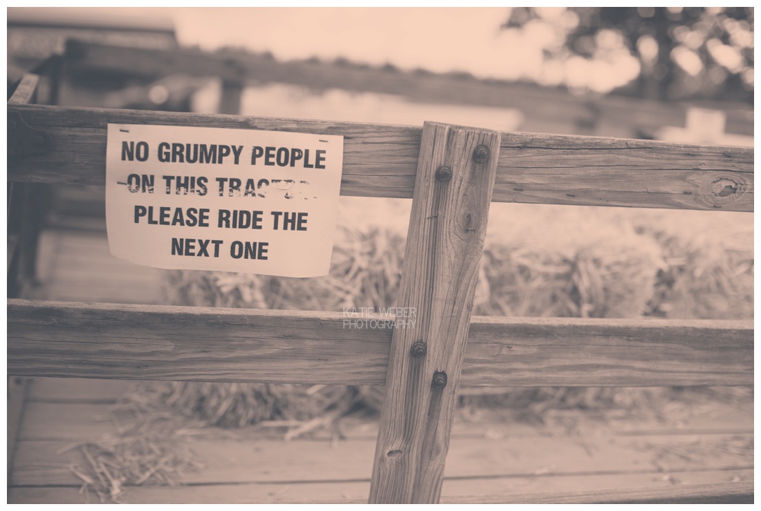 IMG_7243.jpg IMG_7243.jpg