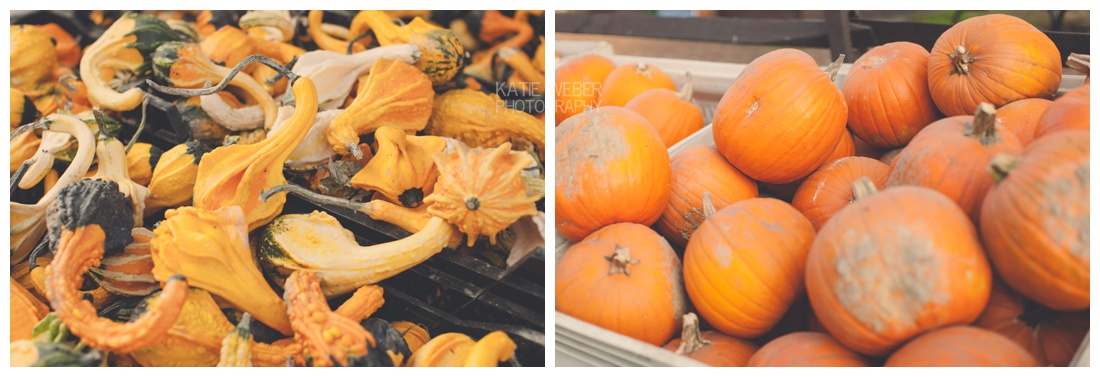 IMG_7313.jpg IMG_7313.jpg