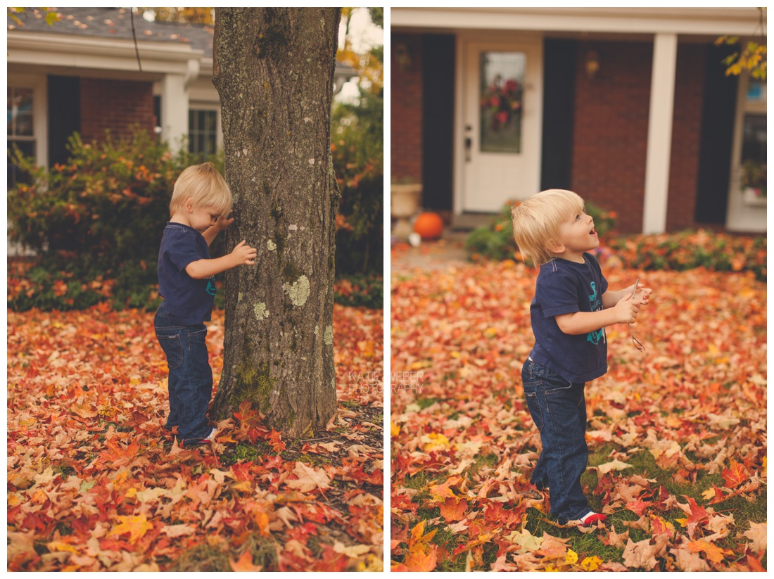 IMG_7330.jpg IMG_7330.jpg