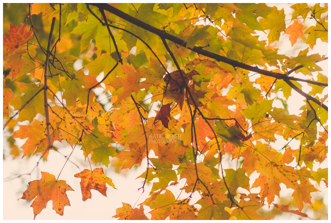 IMG_7348.jpg IMG_7348.jpg