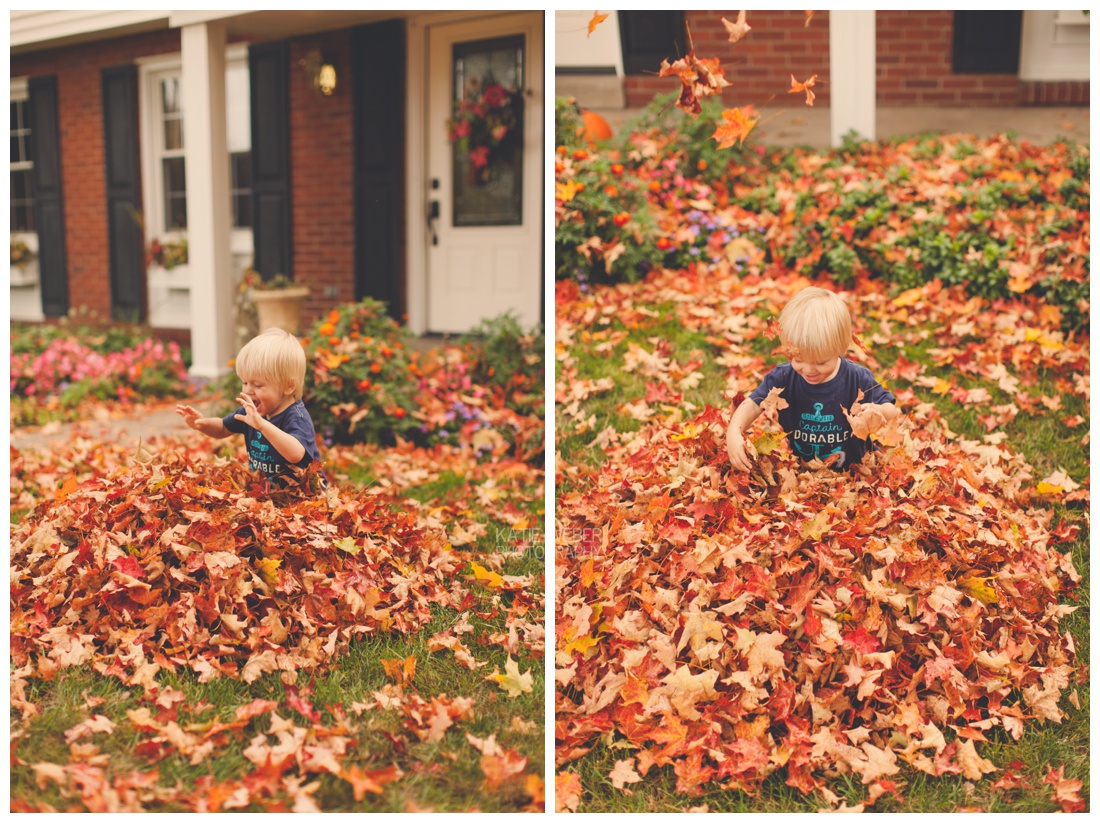 IMG_7364.jpg IMG_7364.jpg