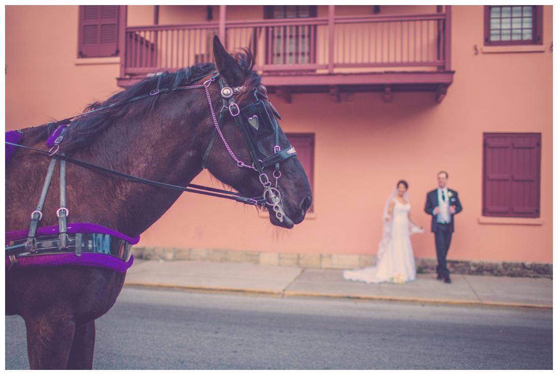 IMG_3520.jpg IMG_3520.jpg