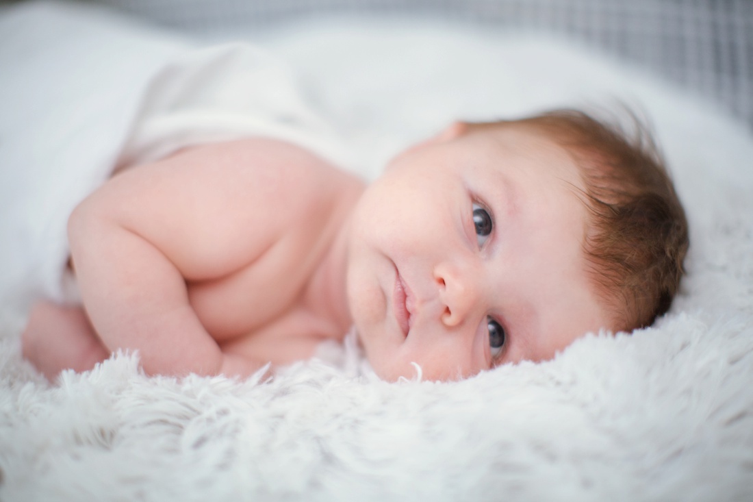 809B6173.jpg 809B6173.jpg