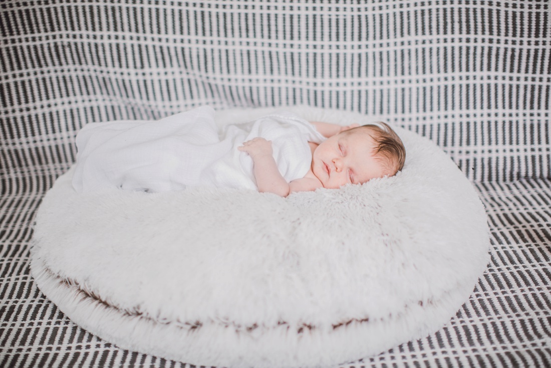 809B6203.jpg 809B6203.jpg