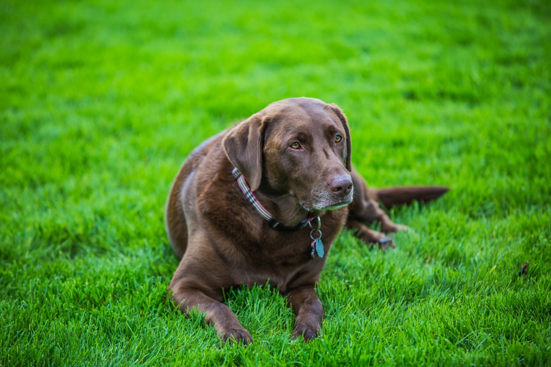 809B6774.jpg 809B6774.jpg