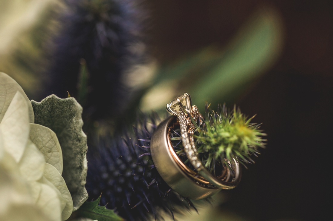 809B8371.jpg 809B8371.jpg