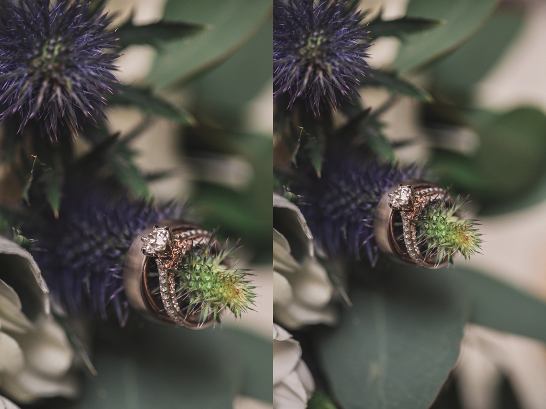 809B8374-2.jpg 809B8374-2.jpg