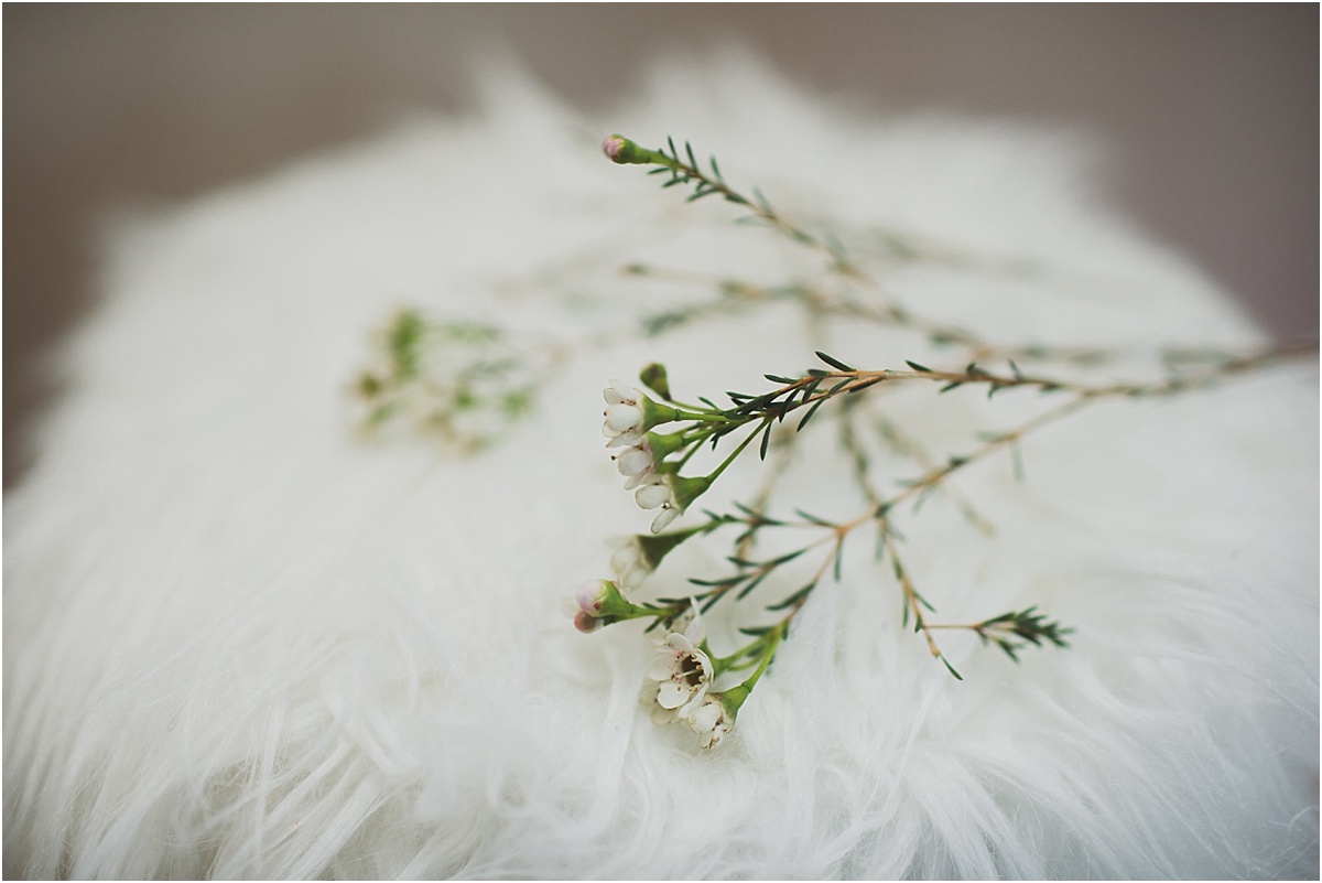 2018-02-12_0001.jpg 2018-02-12_0001.jpg