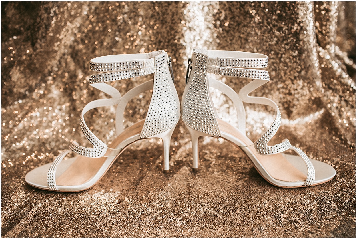 2018-02-25_0012.jpg 2018-02-25_0012.jpg